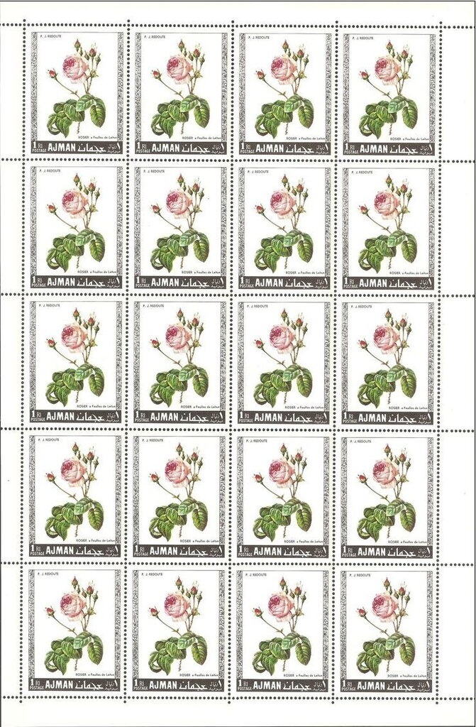 Paintings by Hans Baldung and Simon Vouet