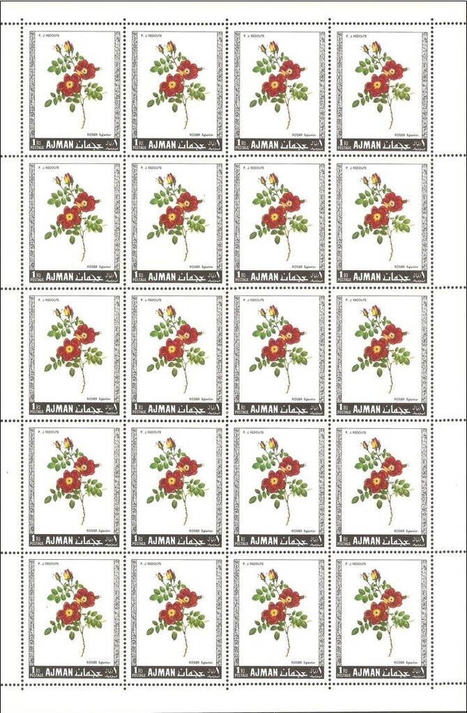 Eamon de Valera (1882-1975), President of Ireland