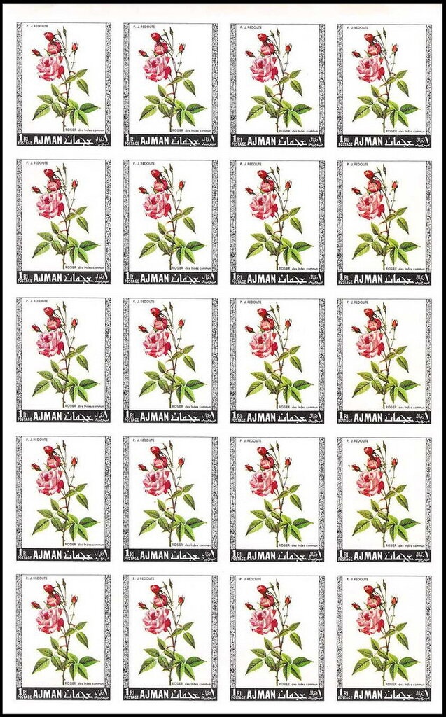 After Landing... - Mars Landing Module...