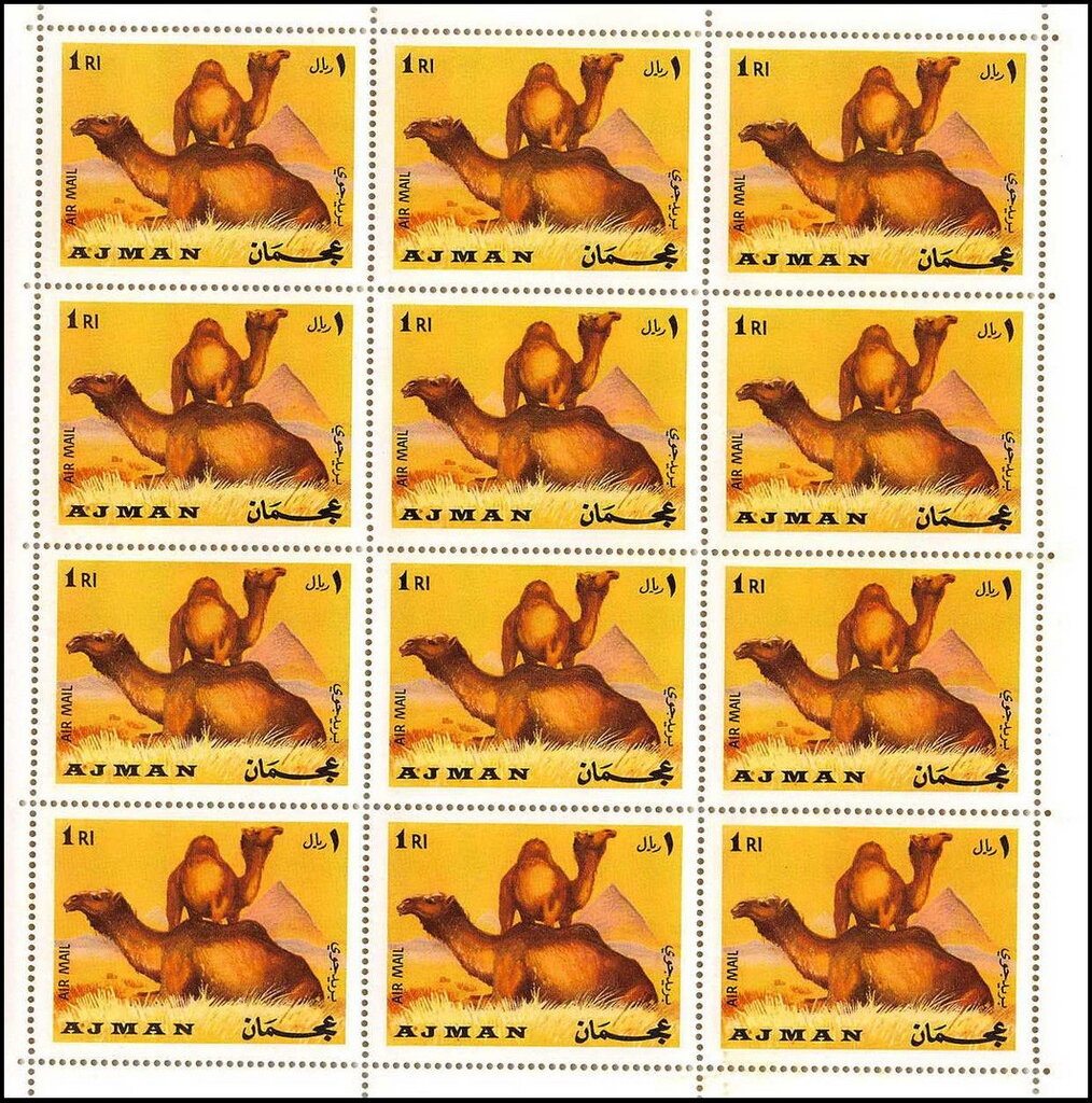 Tiger (Panthera tigris)