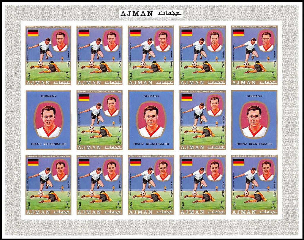 Tomato Groupers (Cephalopholis sonnerati)