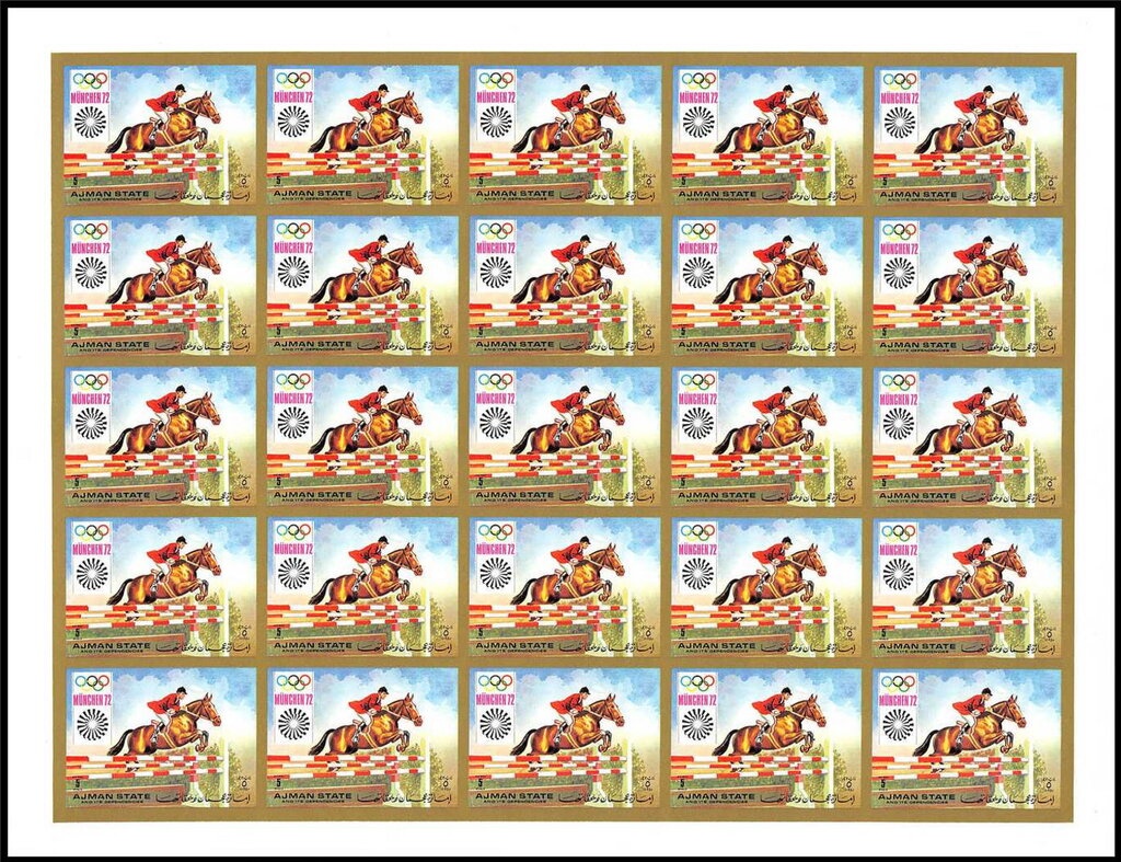 Large White (Pieris brassicae)