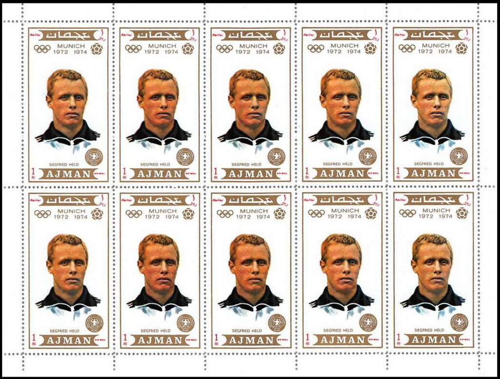 Double-toothed Kite (Harpagus bidentatus fasciatus)