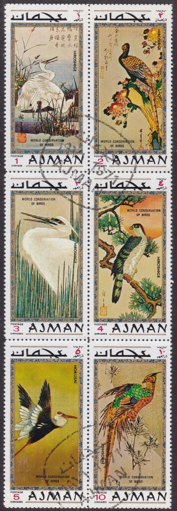 Chequered Skipper (Carterocephalus palaemon)