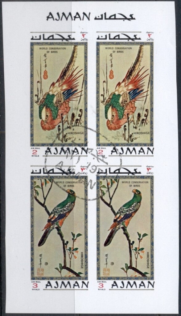 Black-breasted Buzzard Kite (Hamirostra melanosternon)