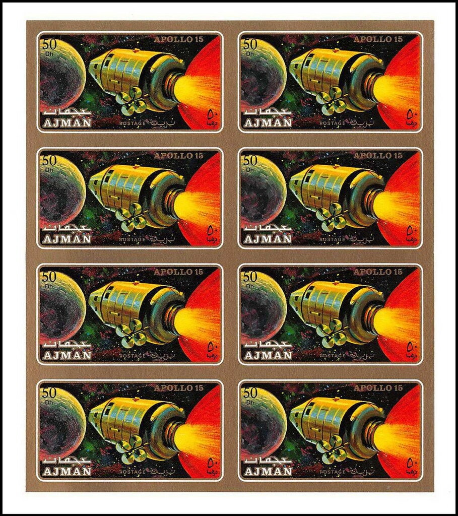 Fur Seal (Arctocephalus sp.)