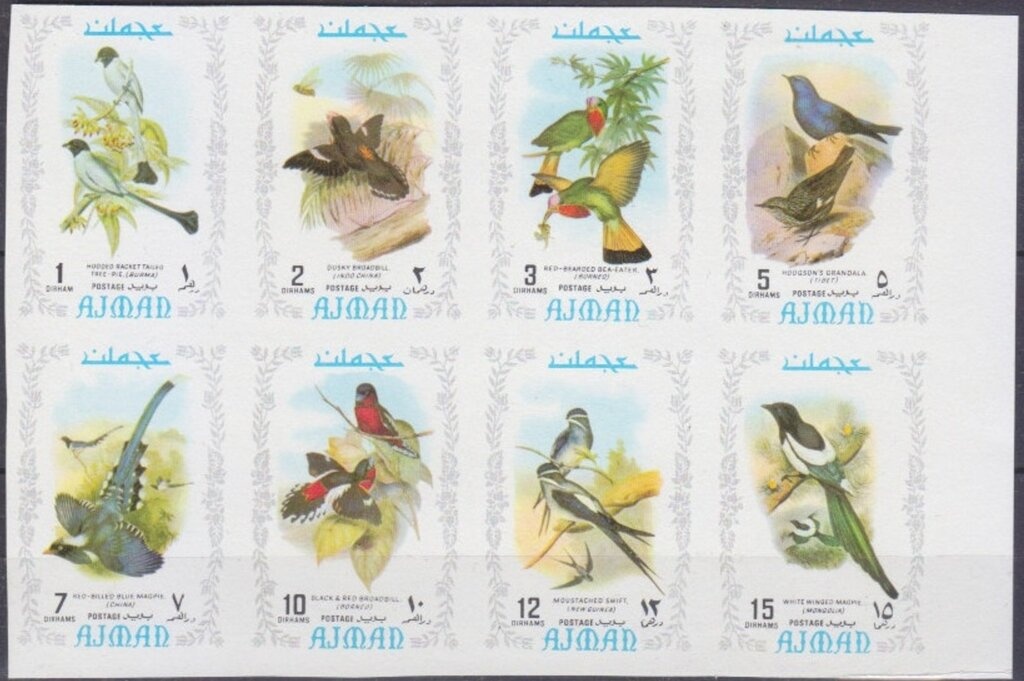 Humpback Whale (Megaptera novaeangliae)