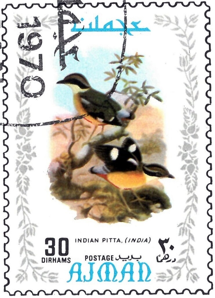 Anthony Joseph "A. J." Foyt (*1935), USA