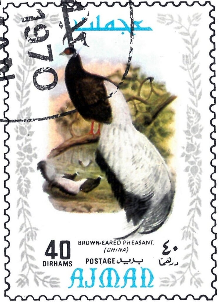 Robert F. Kennedy (1925-1968), Senator, Attorney general of