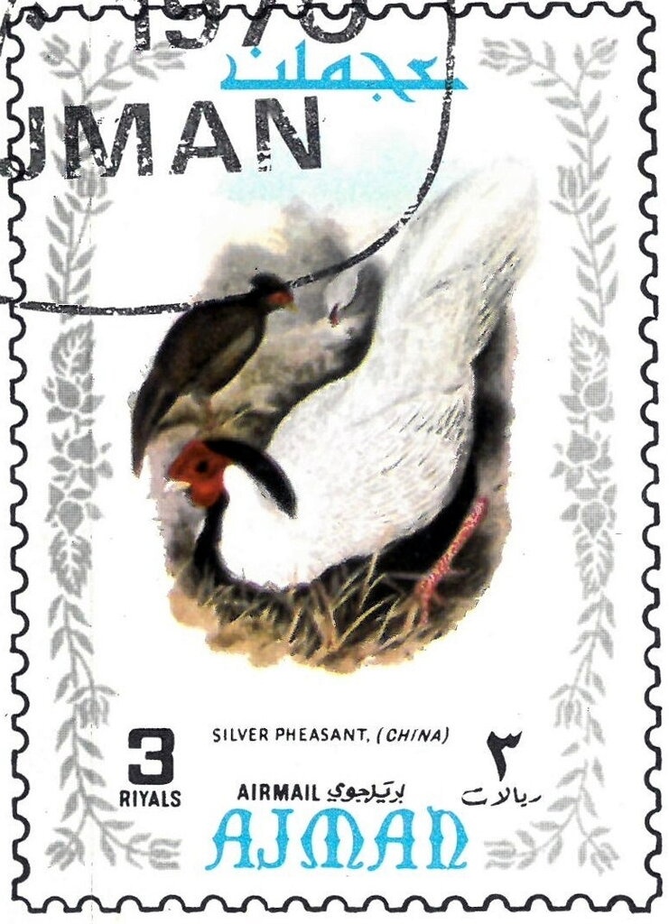 Long Jump: Bob (Robert) Beamon, USA