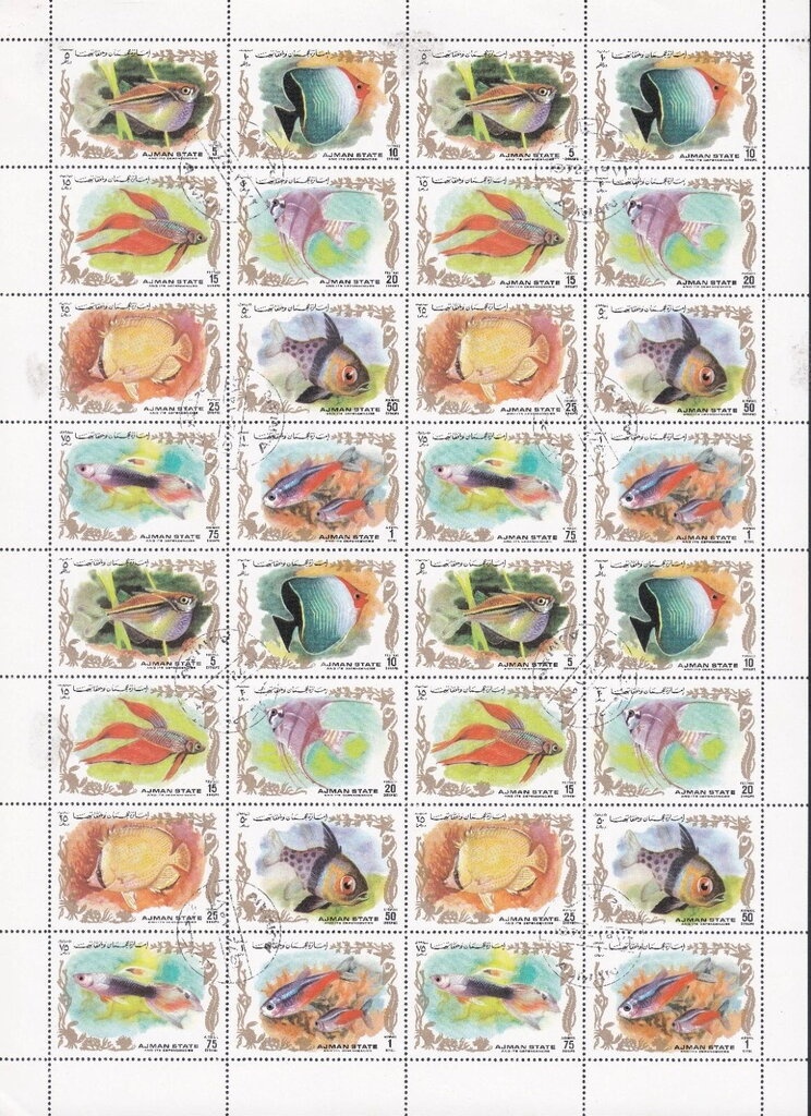 Japanese Macaque (Macaca fuscata)