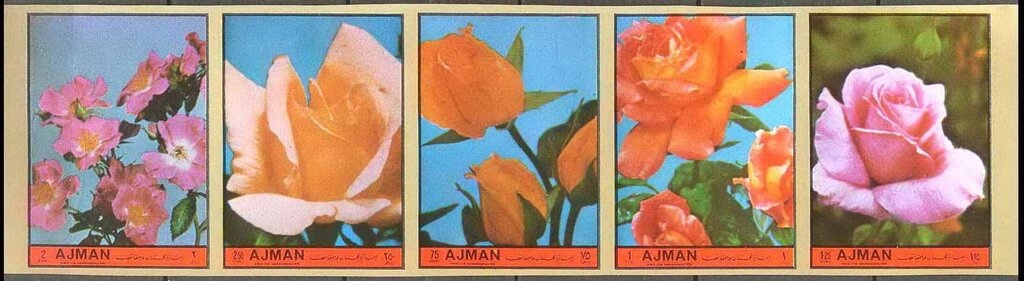 Chariot Racing and Athletics