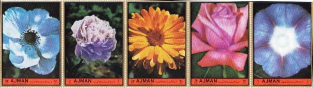 Apollo 1 (27.1.1967): Chaffee, White, Grissom