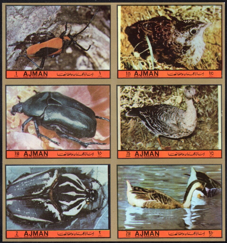 500th birthday of Albrecht Dürer