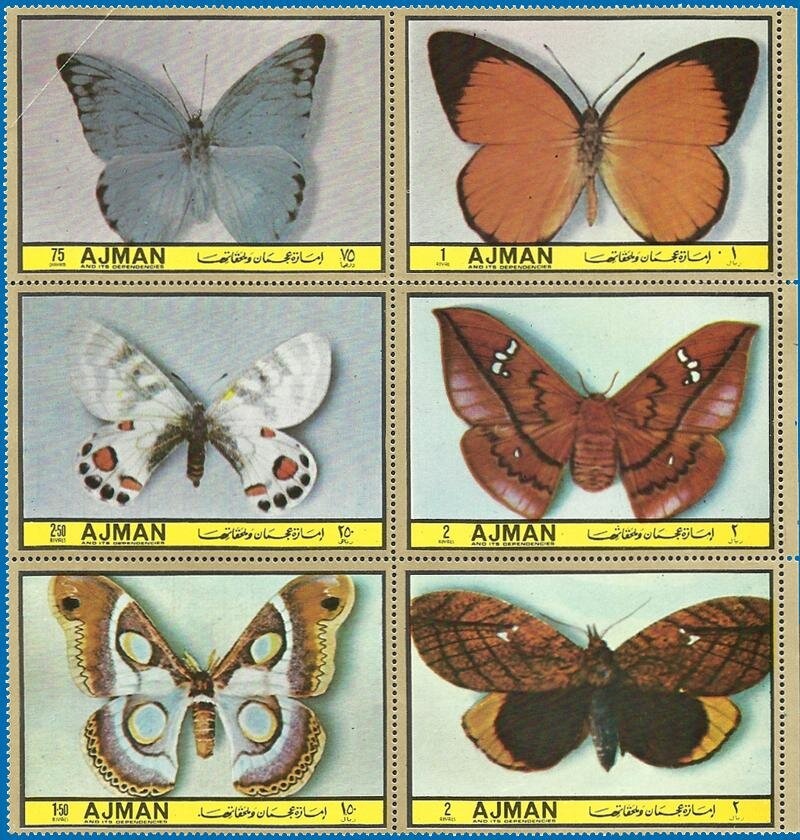 Edward White (1930-1967), American astronaut, pilot