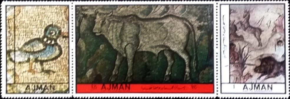 Plains Zebra (Equus quagga)