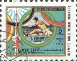 Brown Bear (Ursus arctos)