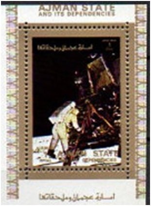 Fur Seal (Arctocephalus sp.)