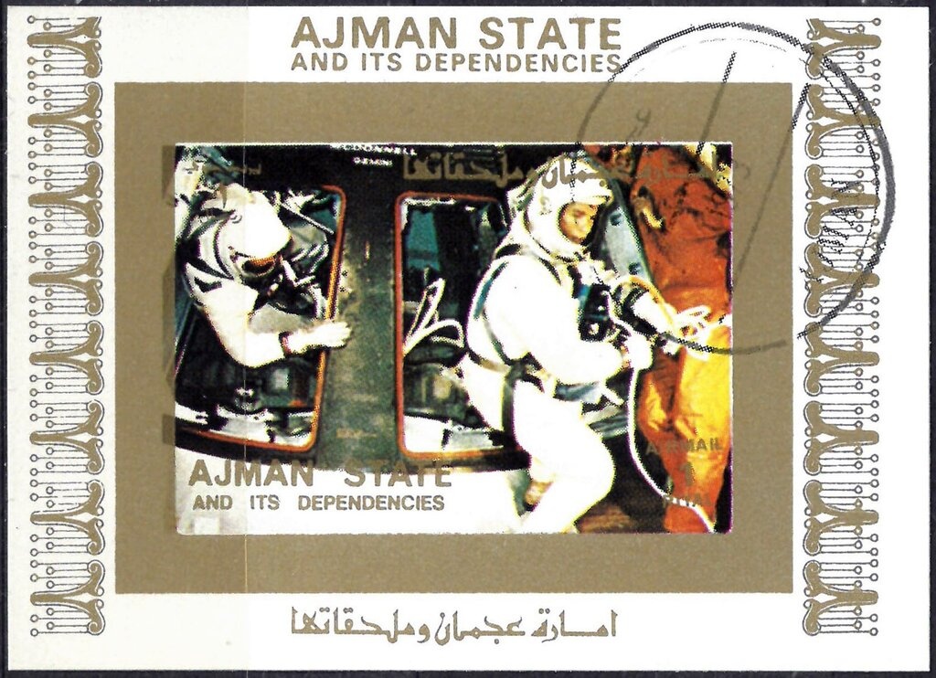 Dusky-billed Parrotlet (Psittacula sclateri)