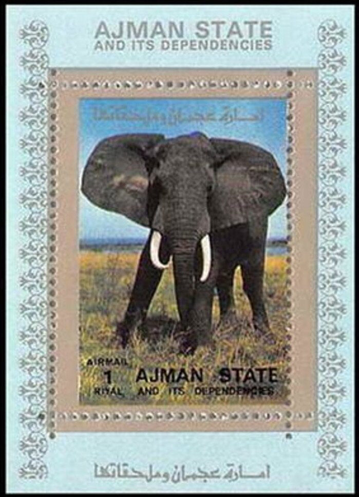 Agouti (Dasyprocta sp.)