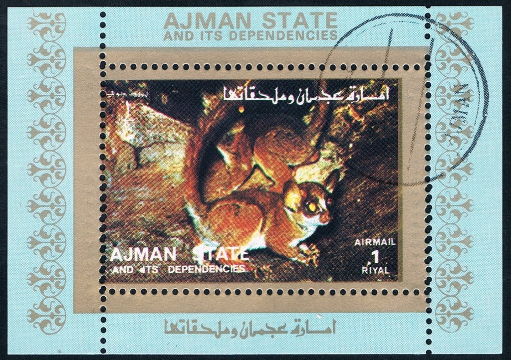 John F. Kennedy Life's Moment