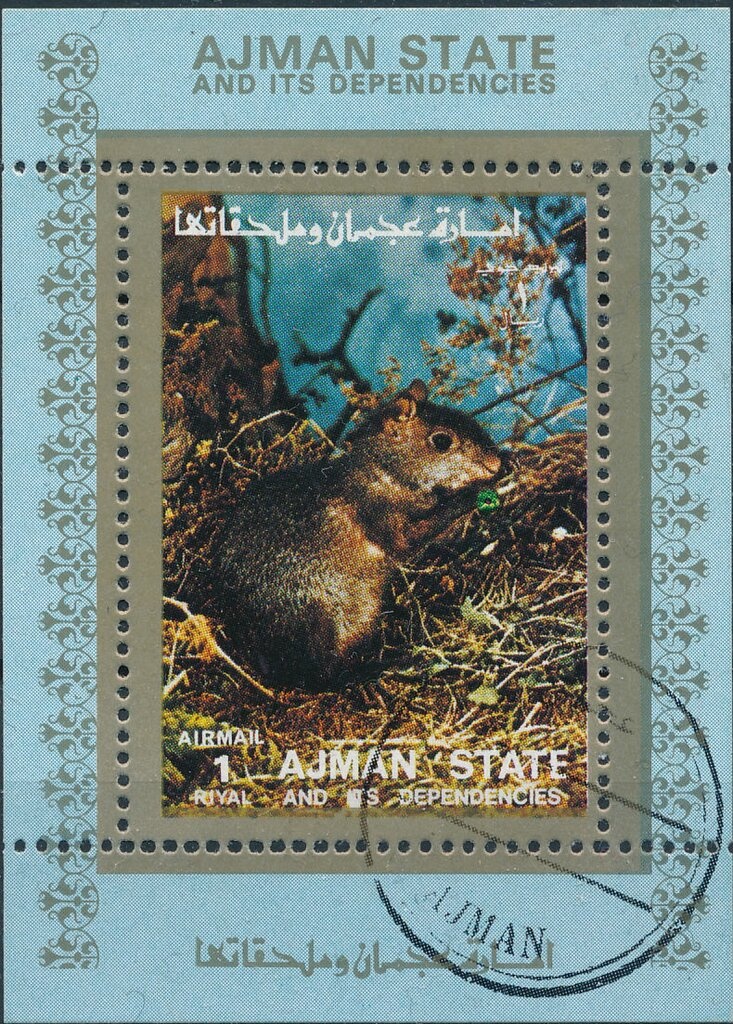 Asian Elephant (Elephas maximus)