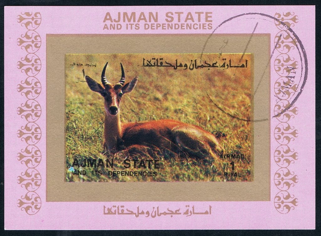 Sheikh Rashid and Bus