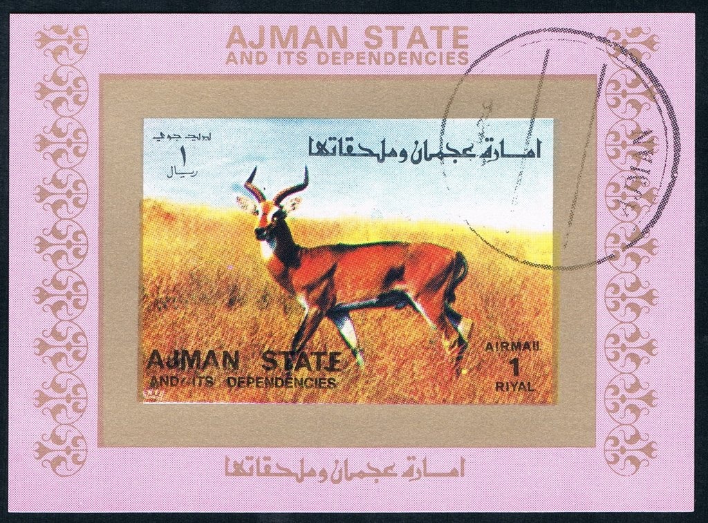 Gymnastics, Side Horse