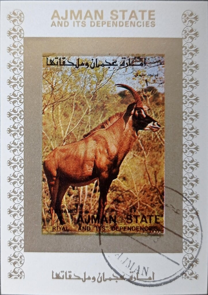 Gemini space capsules (Rendezvous)