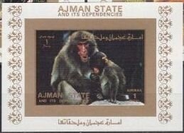 Schweitzer Giving an Organ Concert