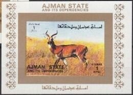 Verreaux's Eagle (Aquila verreauxii)