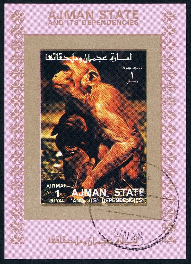 Helmut Haller (1939-2012), Midfielder