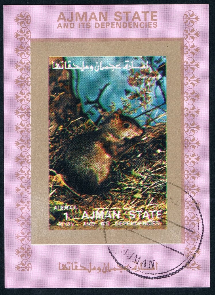 Jidai Festival "Shinko"