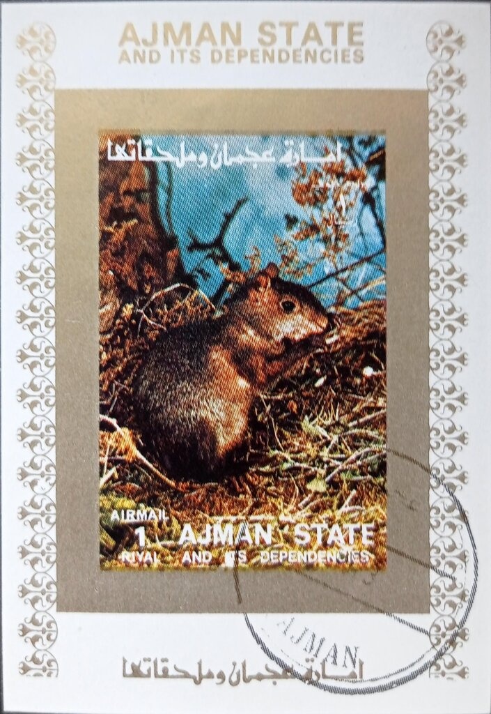 Schweitzer Giving an Organ Concert