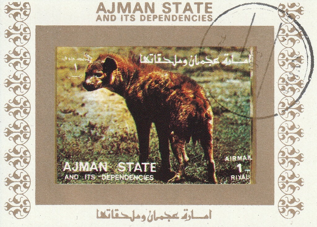 Fencing: Ionel Alexandru Drîmbă (1942-2006), Romania