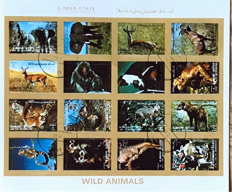 Apollo Program, big format