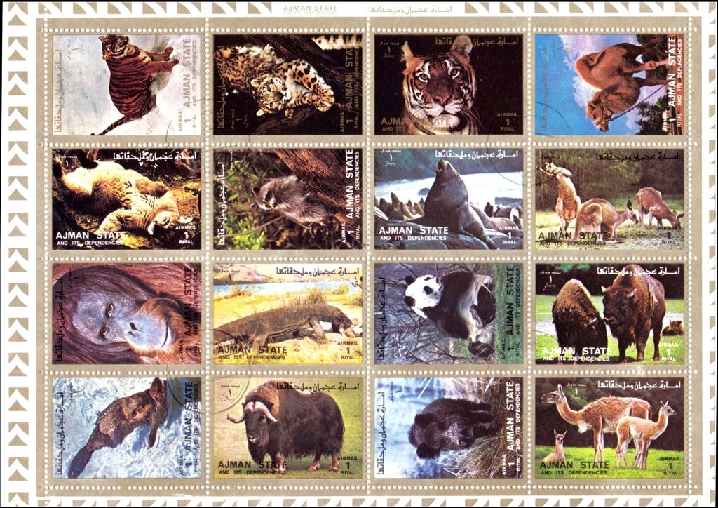 Red Hibiscus and Princess Anne