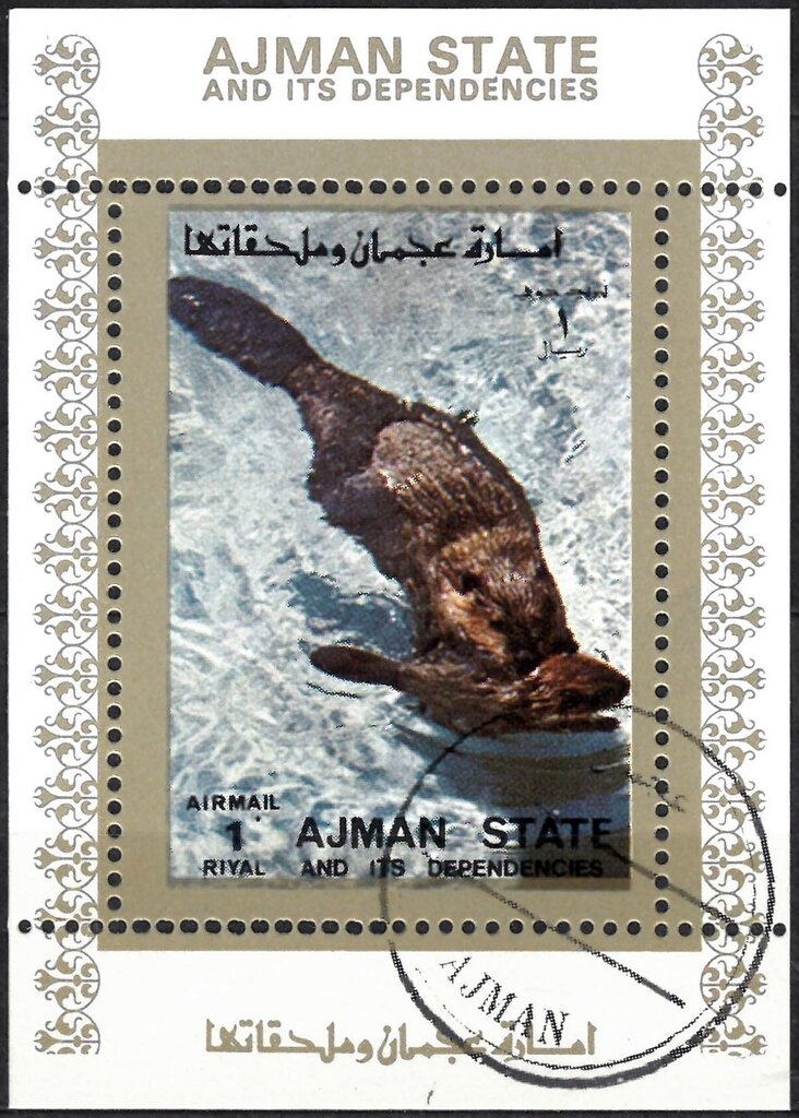 Scouts with Bugle in Front of Scout Camp