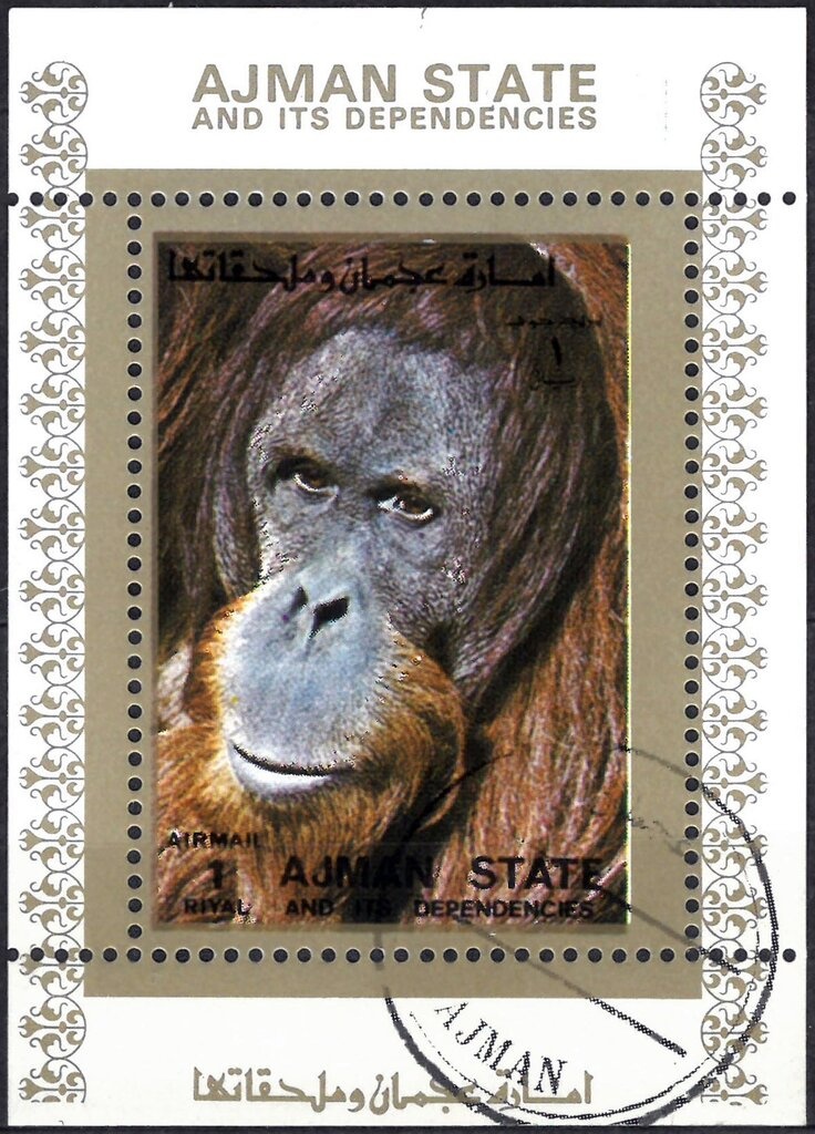 Malay Birdwing (Troides amphrysus)