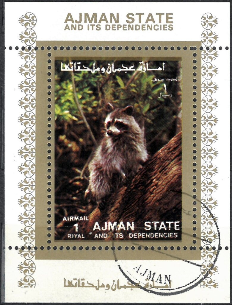 Loggerhead Sea Turtle (Caretta caretta)