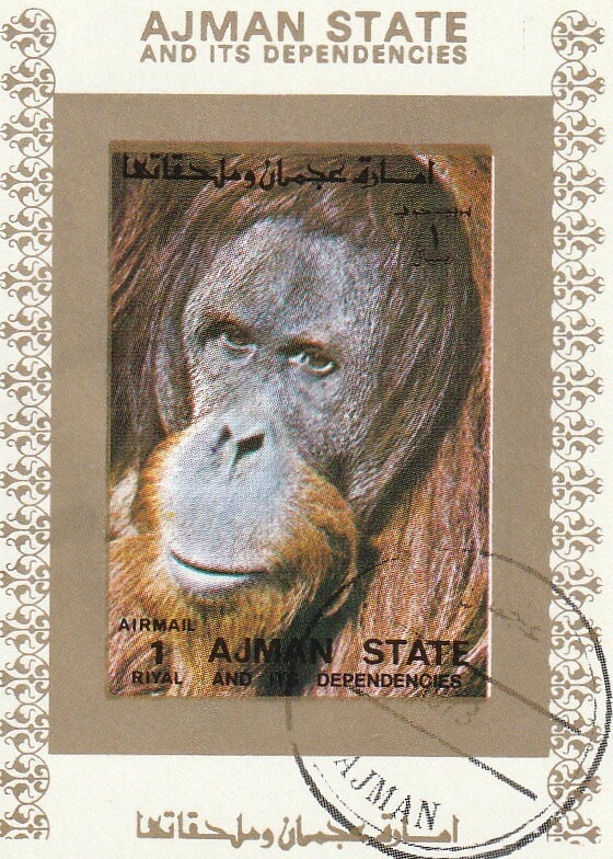 After the bath; by Pierre-Auguste Renoir (1841-1919), Frenc…