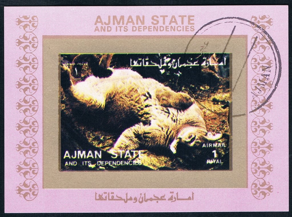 Wild Boar (Sus scrofa)