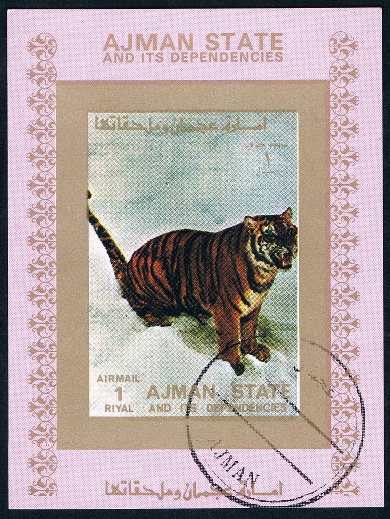 Ice Hockey, Winter Olympic Games, Grenoble