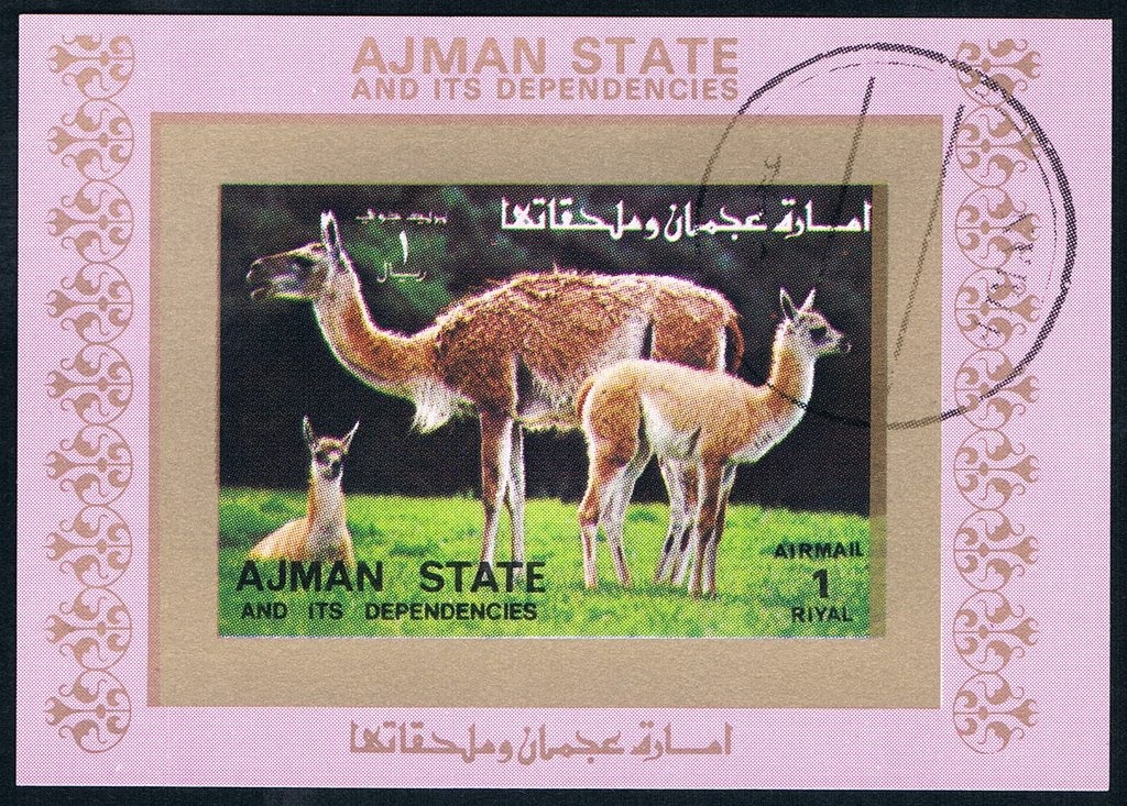 Theatine Church and cathedral, Munich