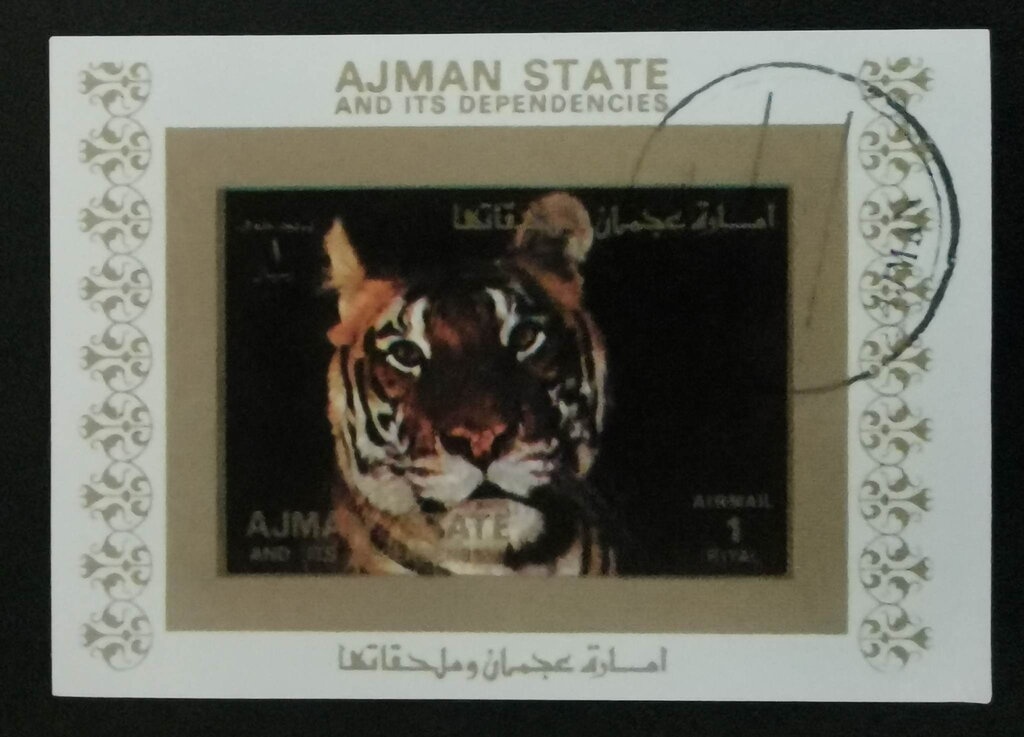 Kangaroo (Macropus spp.)