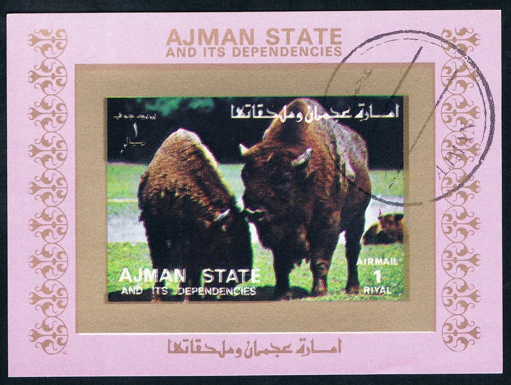 Franz Anton Beckenbauer (*1945), Bayern Munich