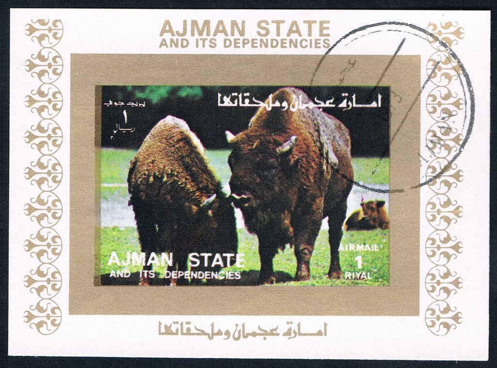 The actor Sawamura Sojuro; by Katsukawa Shunsho (1726-1792)