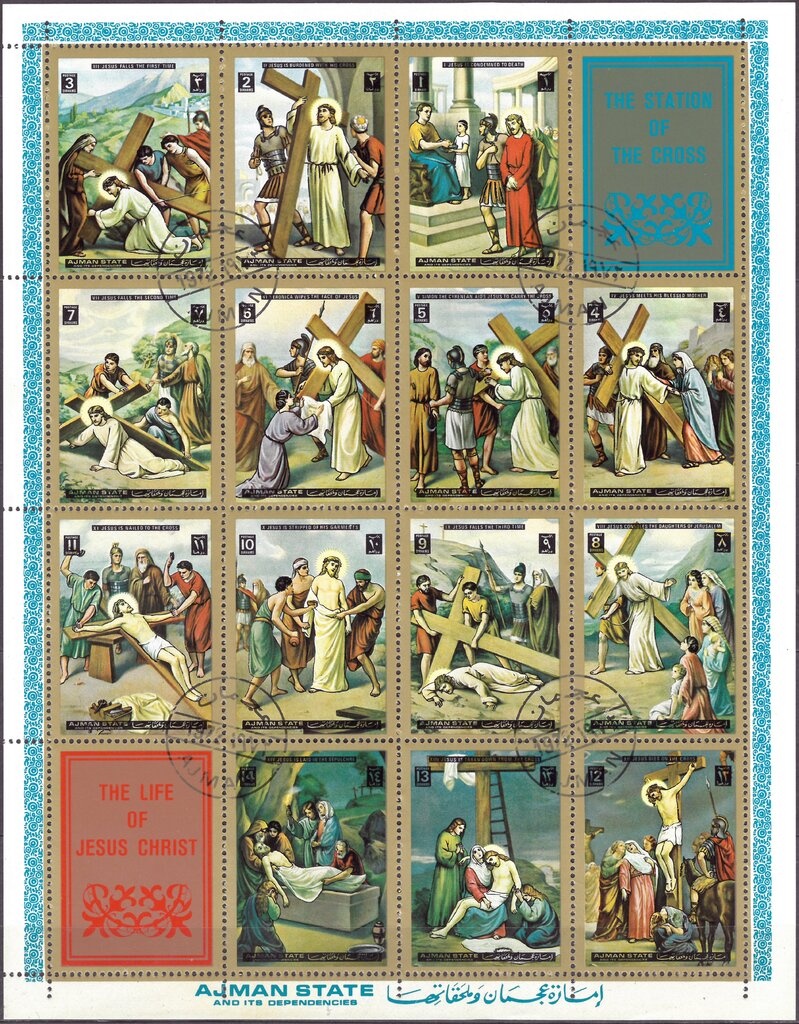 Sheik Rashid, White-eyed Gull (Ichthyaetus leucophthalmus)