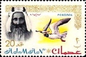 EH White and Mc Divitt, earth globe with orbits