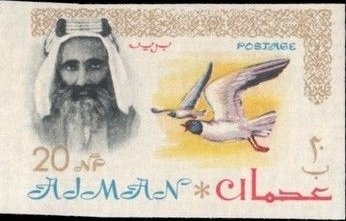 White Stork (Ciconia ciconia)